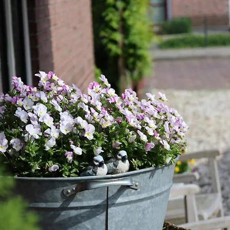 Bed & Breakfast De Seuterhoeve