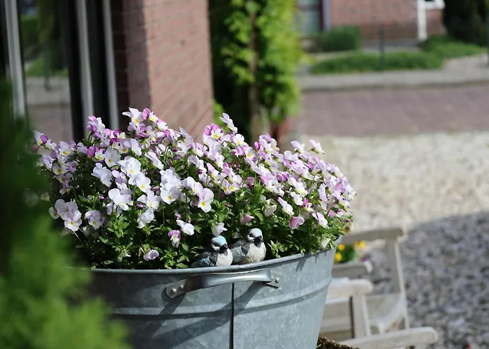 Alojamento de Acomodação e Pequeno-almoço De Seuterhoeve