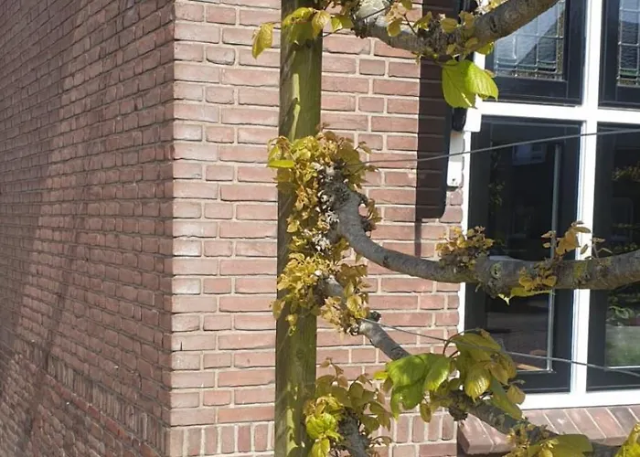 Panzió De Seuterhoeve 3*